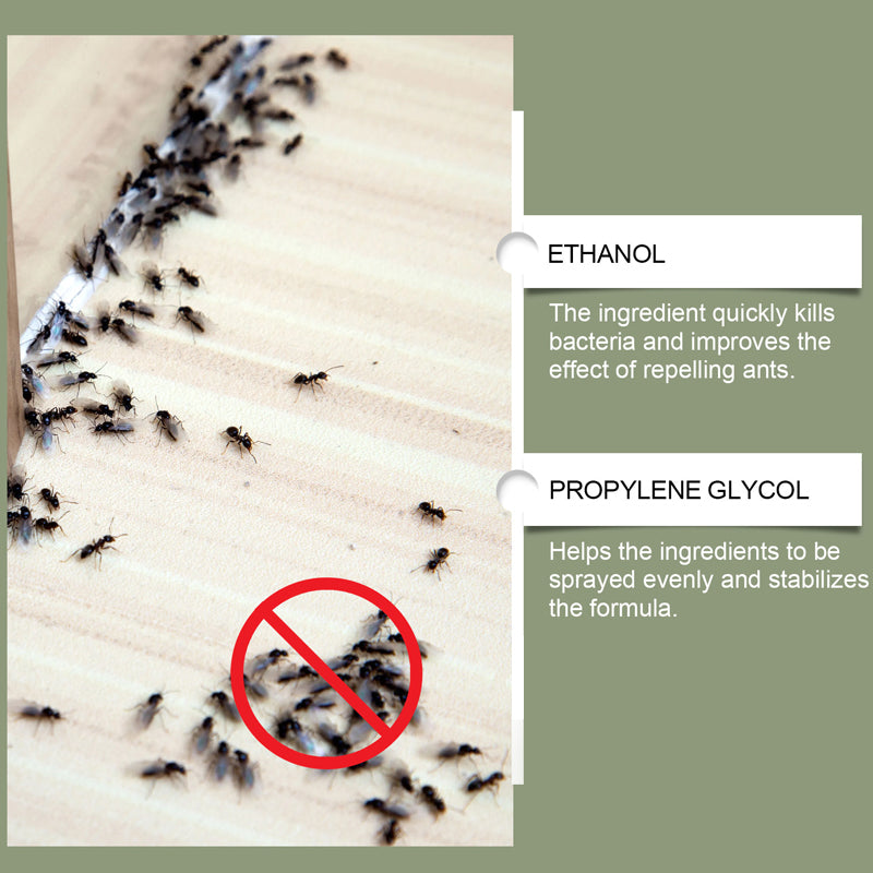 ⏳Time-limited Special⏰Multipurpose Powerful Ant Repellent Spray