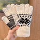 🎁🎄Christmas Sale 59% OFF! 🎄Warm Touchscreen Gloves