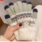 🎁🎄Christmas Sale 59% OFF! 🎄Warm Touchscreen Gloves