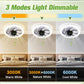 💥2026 HOT SALE 50% OFF💥  2-in-1 Mute Adjustable Fan Light with Remote Control