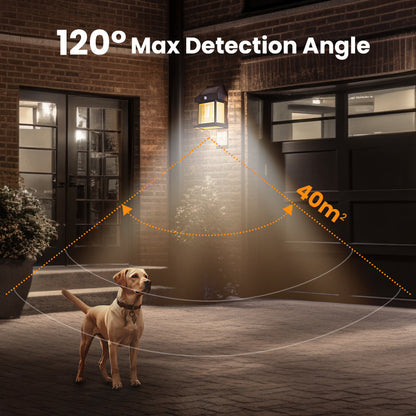 💥💥💡2025 Hot Sale& Coverage 55% OFF-Motion Sensor Solar Tungsten Wall Light