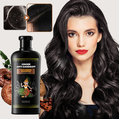 Ginger Anti-Dandruff Cleansing Shampoo+Free Hair care essential oil