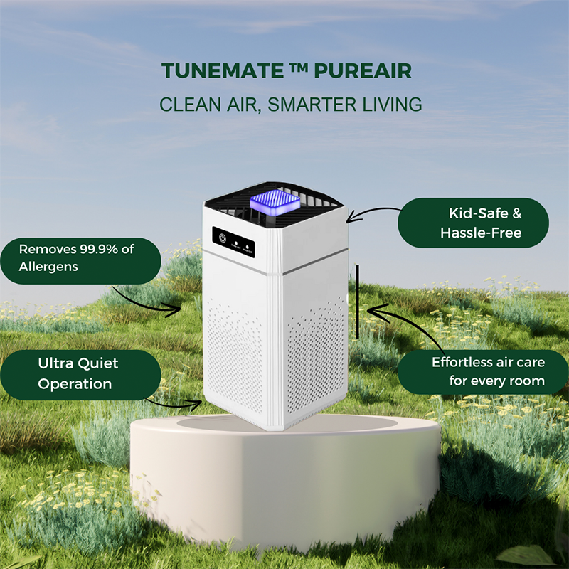 ⏳Time-limited Special⏰Air Purifier for Home