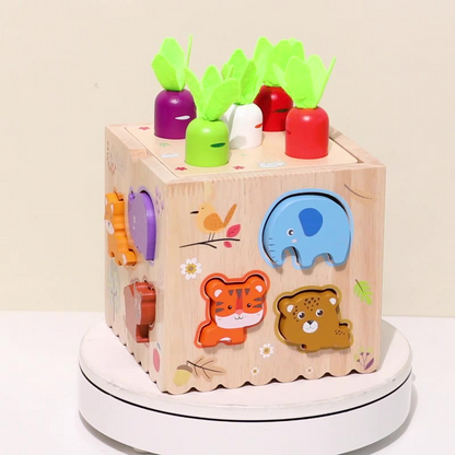 Multifunctional Toddler Learning Activity Cube