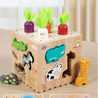 Multifunctional Toddler Learning Activity Cube