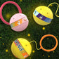 🎄Early Christmas Sale 50% OFF🔥🎁Glowing Bouncing Ball