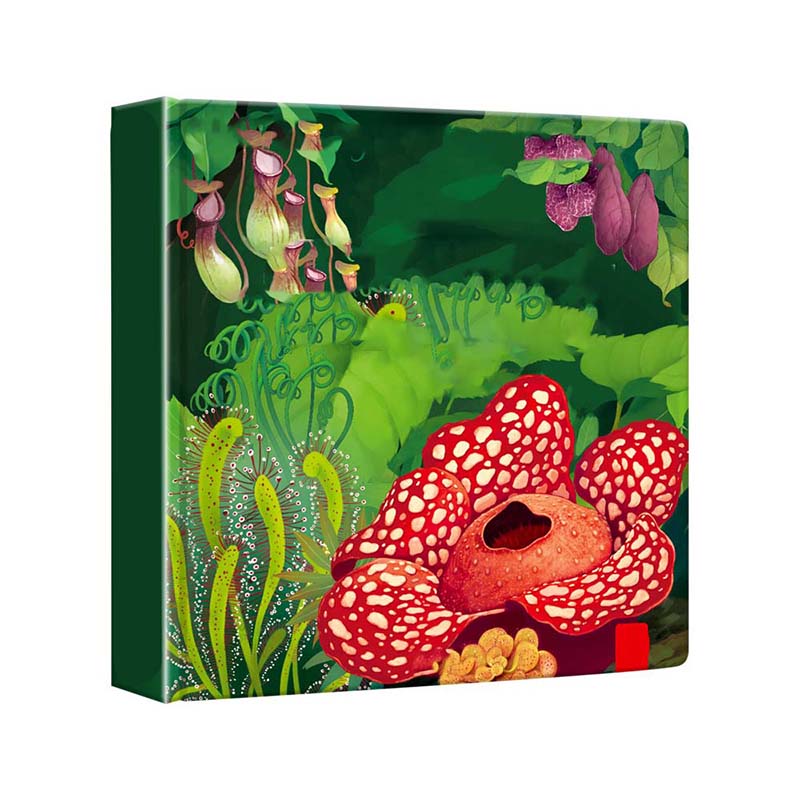 Interactive 3D Educational Adventure Book for Kids