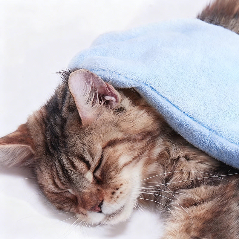 🔥 50% OFF! ✨No-Rinse Pet Bath Essence