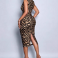 Lace Trim V-Neck Leopard Print Bodycon Dress