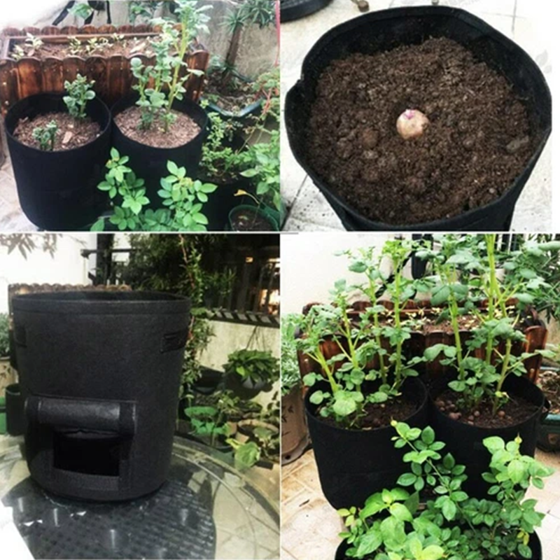 Fabric Potato Grow Bag with Harvest Window
