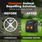 Outdoor Solar-Powered Animal Repeller