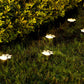 Solar Paw Print Garden Lights